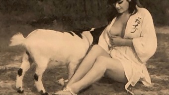 Retro Taboo: Doggy-Style With A Twist